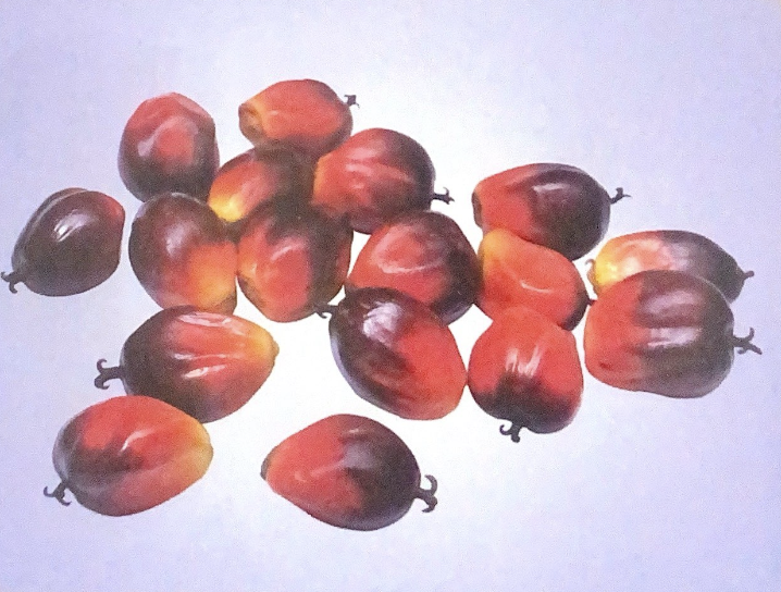 Buah Relai