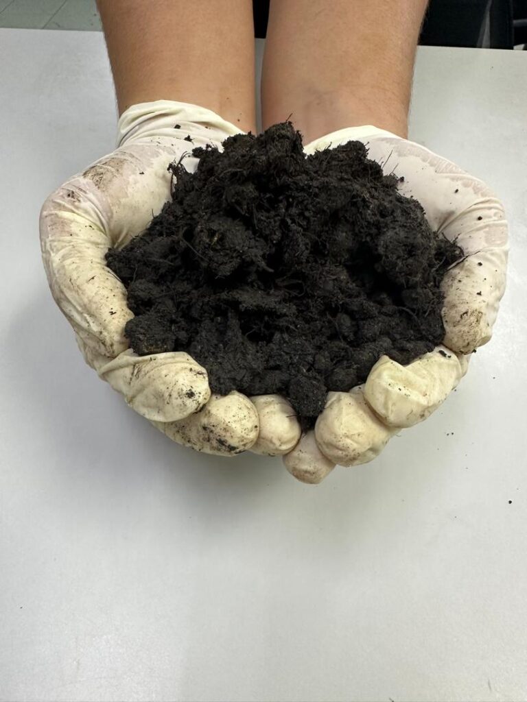 Black Soil